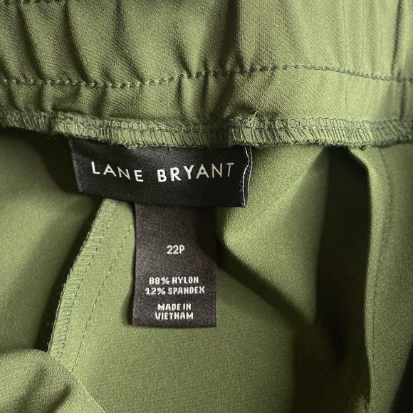 Lane Bryant Pull On Pants Zip Pocket Slacks Green Nylon Plus Size 22P - Picture 4 of 4